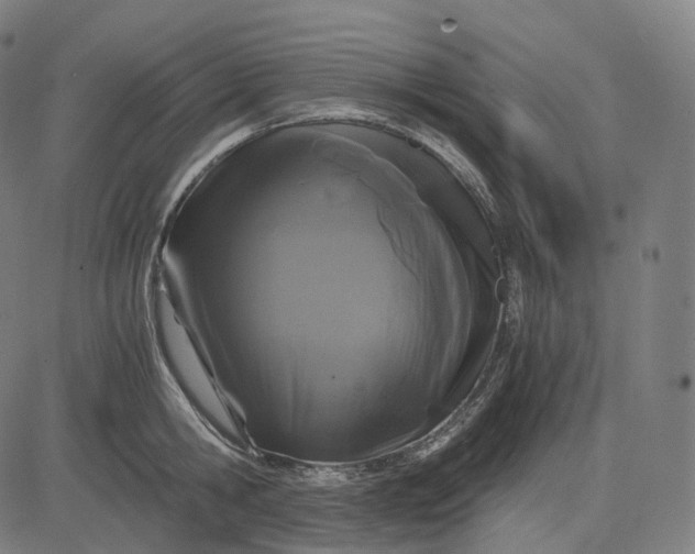 X0000084550806200703091718