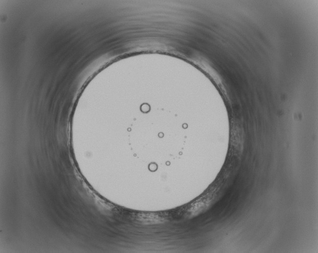 X0000084550807200703091718