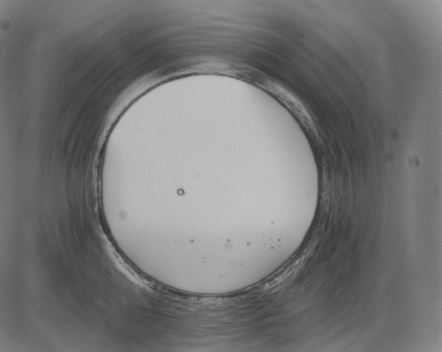 X0000084550808200703091718