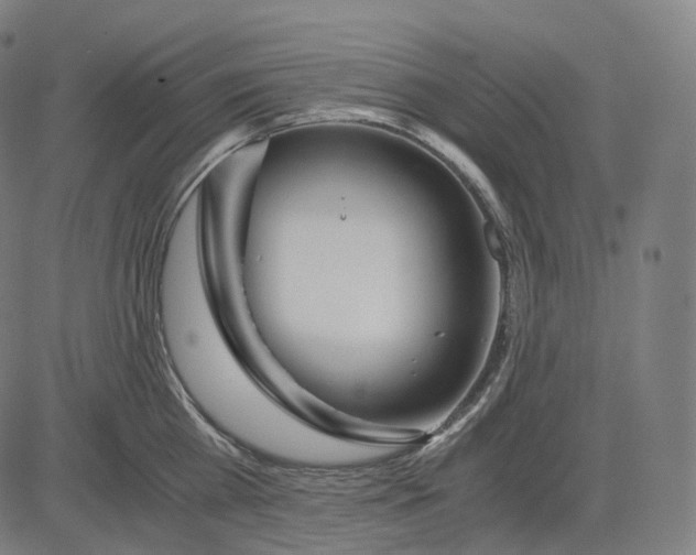 X0000084550809200703091718