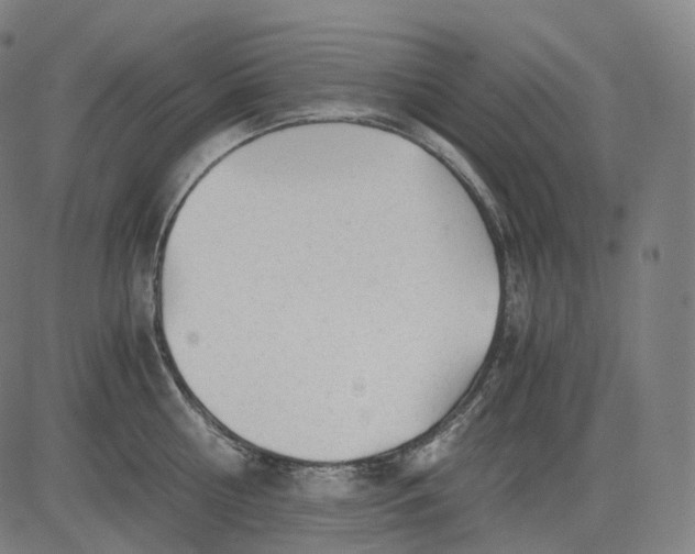 X0000084550810200703091718