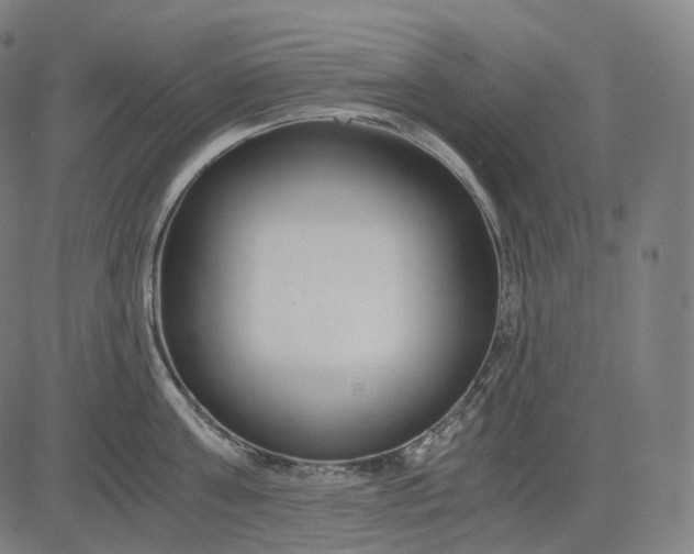 X0000084550811200703091718