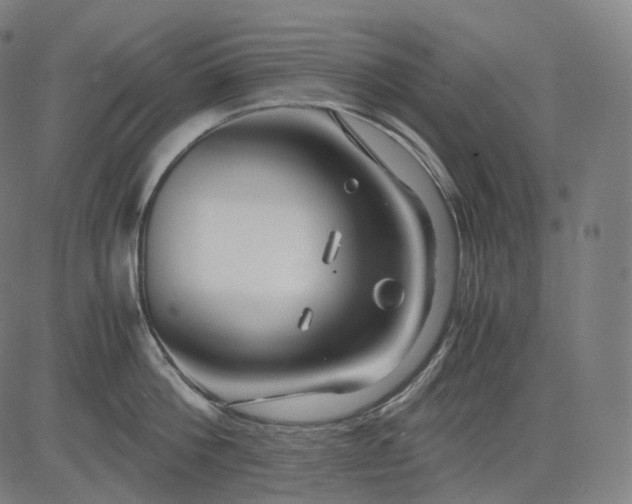 X0000084550812200703091718