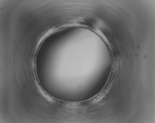 X0000084550813200703091718