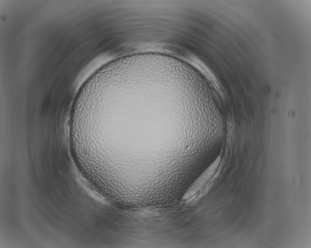 X0000084550814200703091718