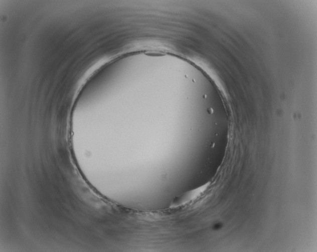 X0000084550815200703091718