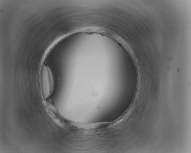 X0000084550816200703091718