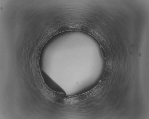 X0000084550817200703091717