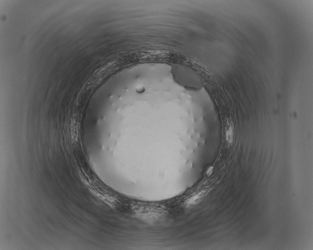 X0000084550819200703091717