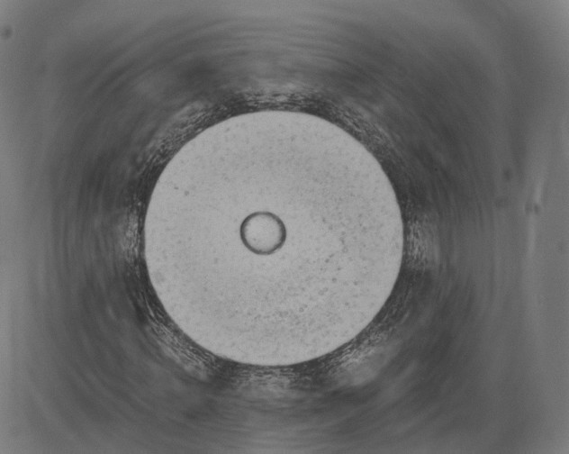 X0000084550820200703091717