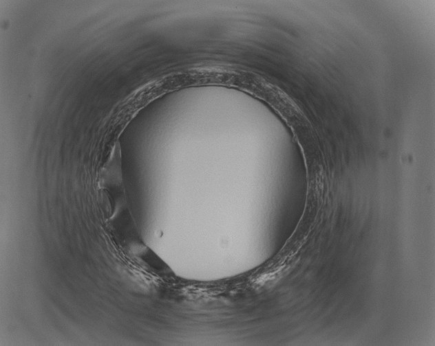 X0000084550821200703091717