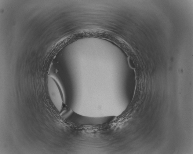 X0000084550822200703091717