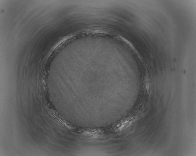 X0000084550823200703091717