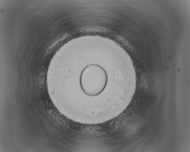 X0000084550824200703091717