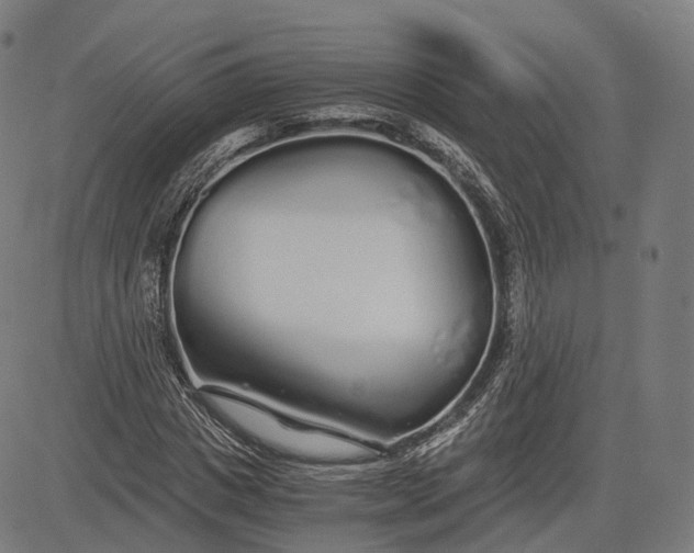 X0000084550825200703091717