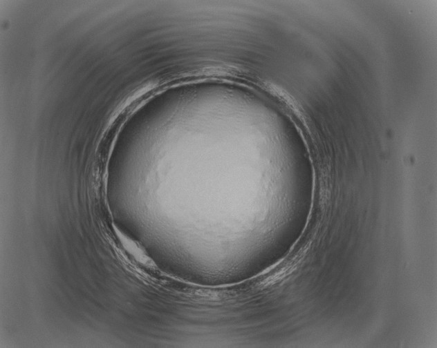 X0000084550827200703091717