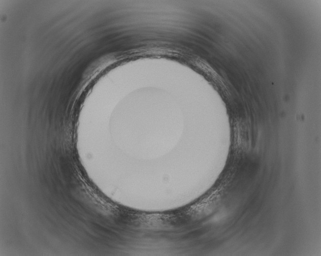 X0000084550828200703091717