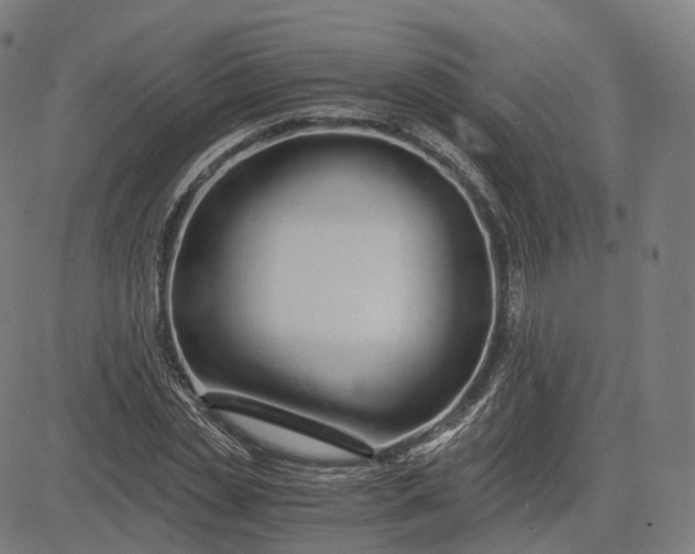 X0000084550829200703091717