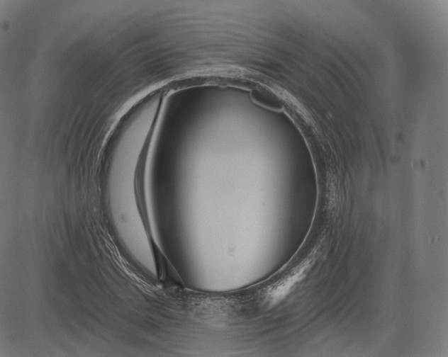 X0000084550830200703091717