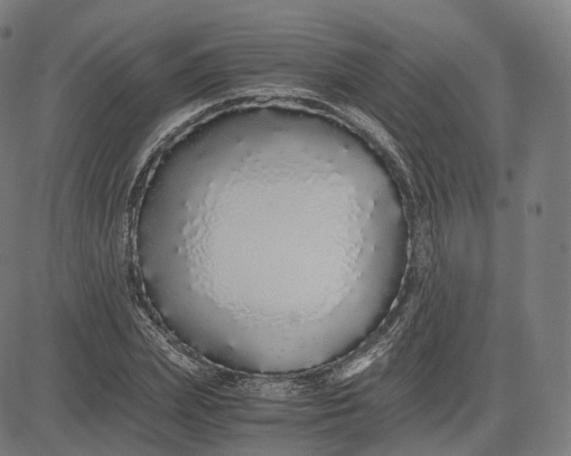 X0000084550831200703091717