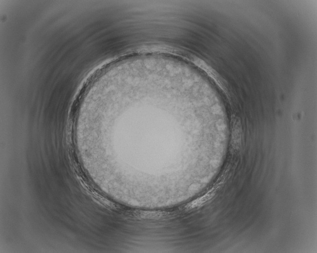 X0000084550832200703091717