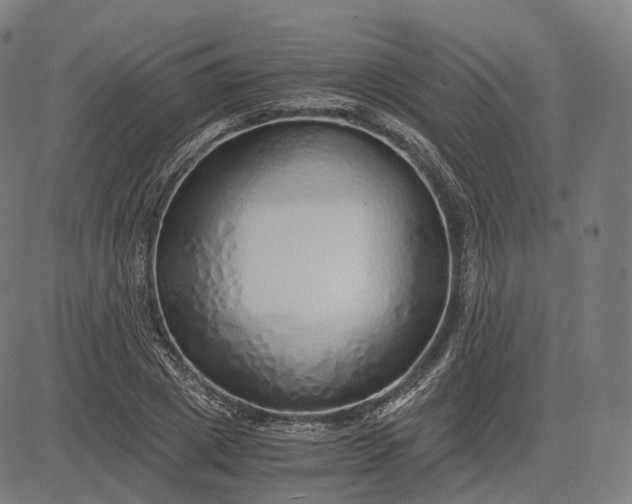 X0000084550833200703091717