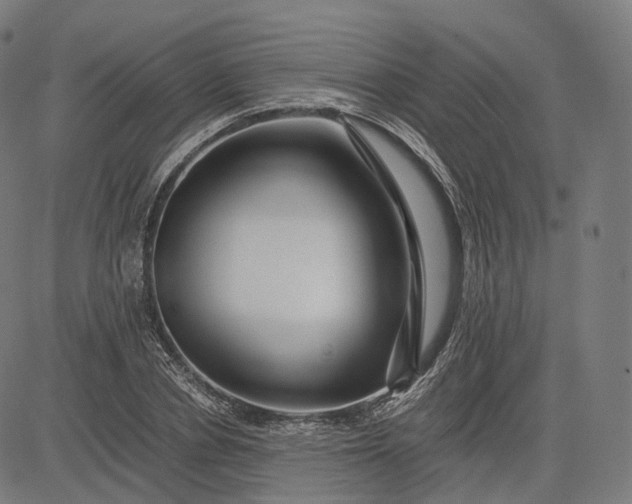 X0000084550834200703091717