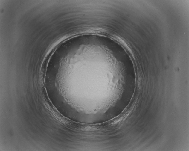 X0000084550835200703091717