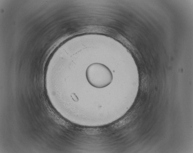 X0000084550836200703091717