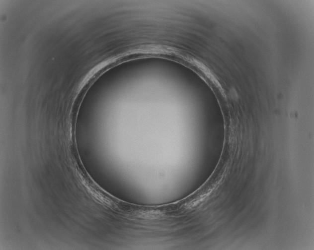 X0000084550837200703091717