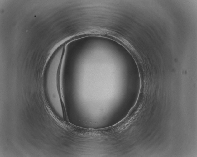 X0000084550838200703091717