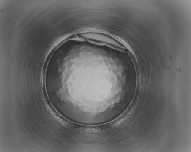 X0000084550839200703091717