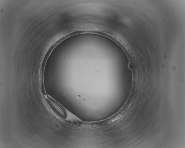 X0000084550840200703091717