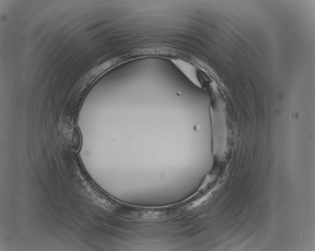 X0000084550841200703091717