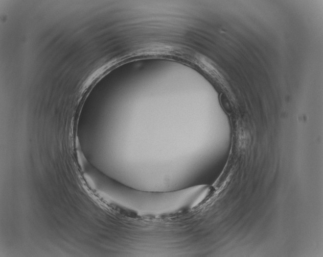 X0000084550842200703091717