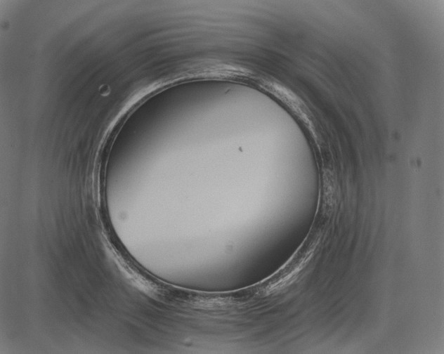 X0000084550843200703091717