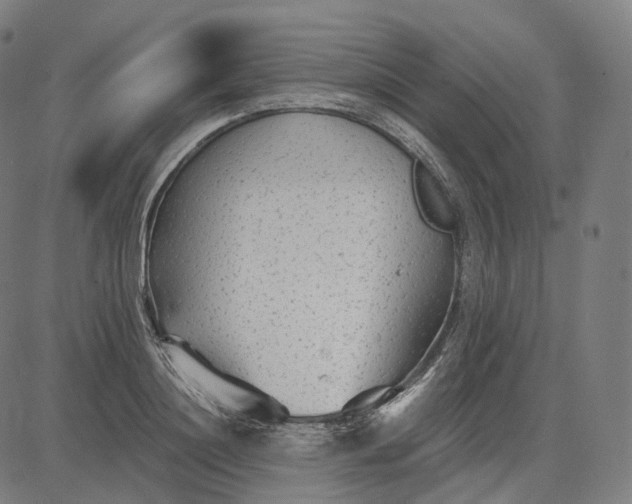 X0000084550844200703091717