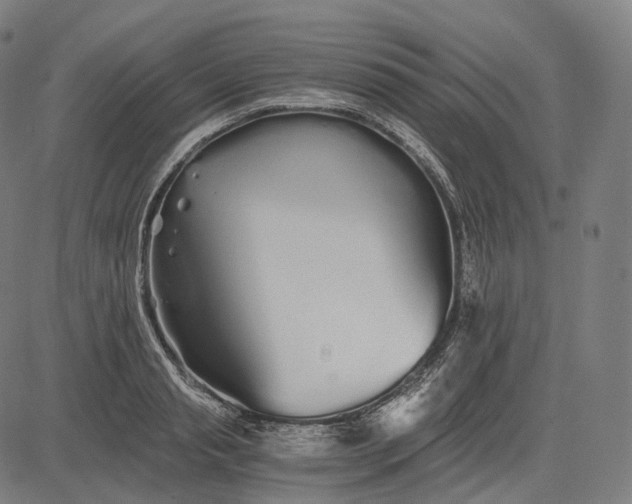 X0000084550845200703091717