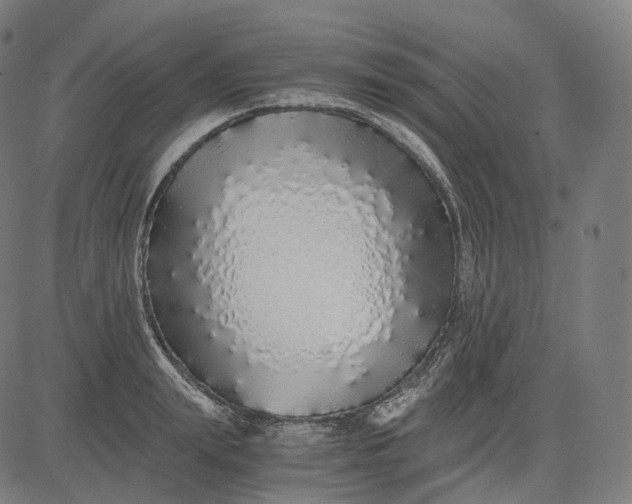 X0000084550847200703091717