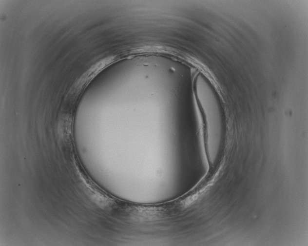 X0000084550849200703091717