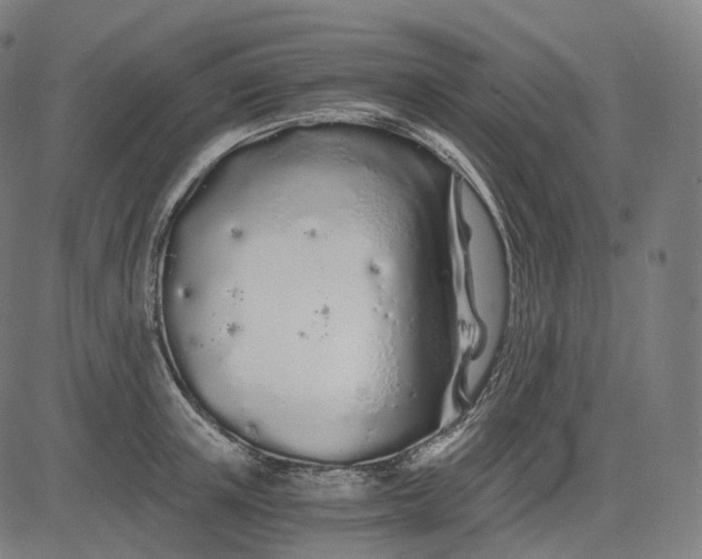 X0000084550851200703091717