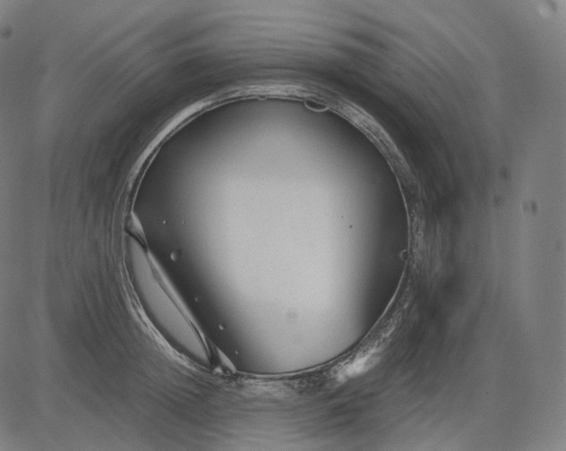 X0000084550852200703091717