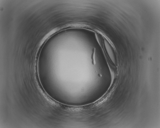 X0000084550853200703091717