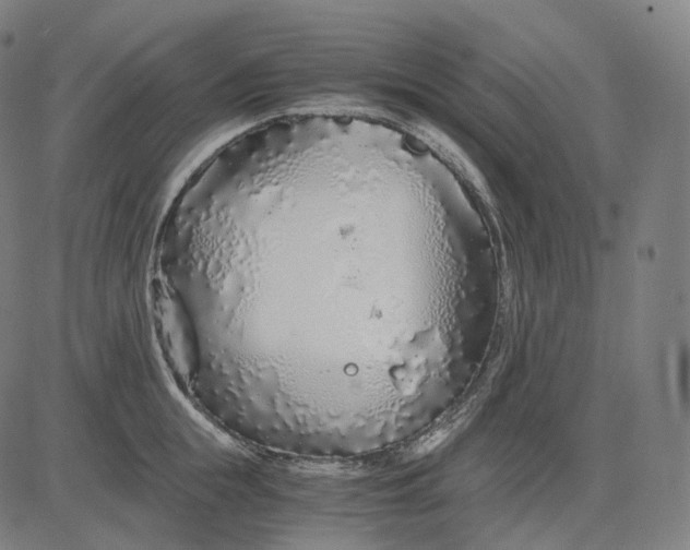 X0000084550855200703091717