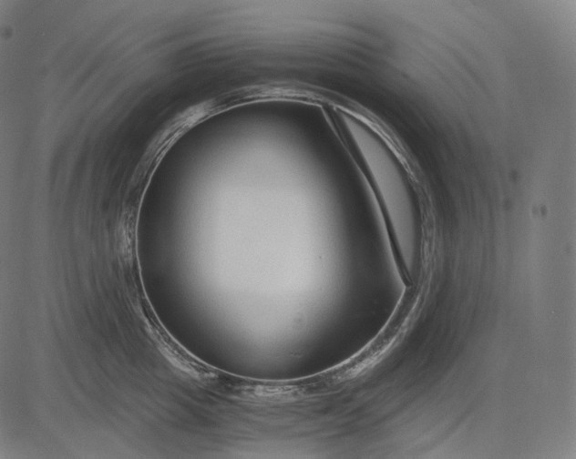 X0000084550857200703091717