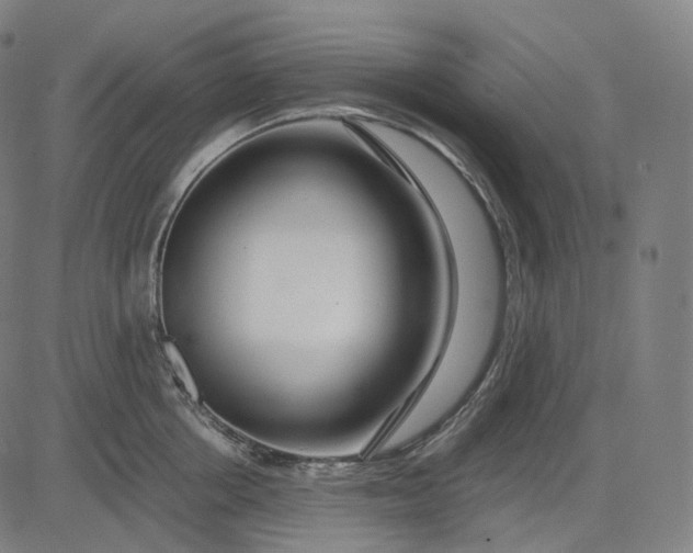 X0000084550858200703091717