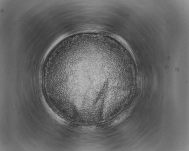 X0000084550859200703091717