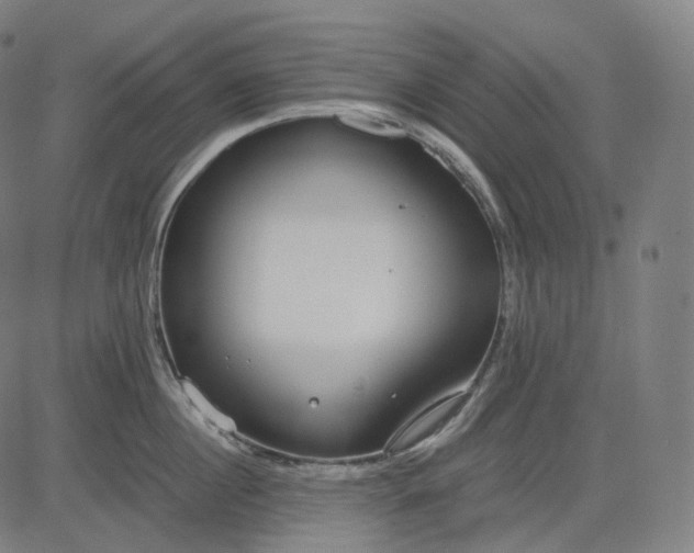 X0000084550860200703091718