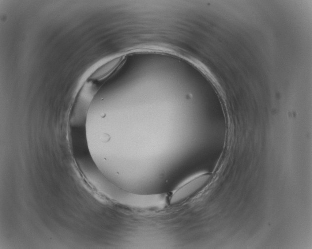 X0000084550862200703091718