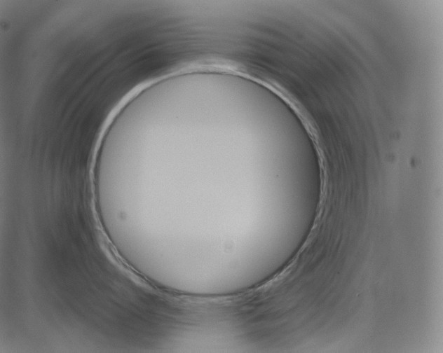 X0000084550864200703091718